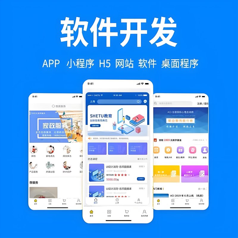 软件定制开发:构建专属优势之道